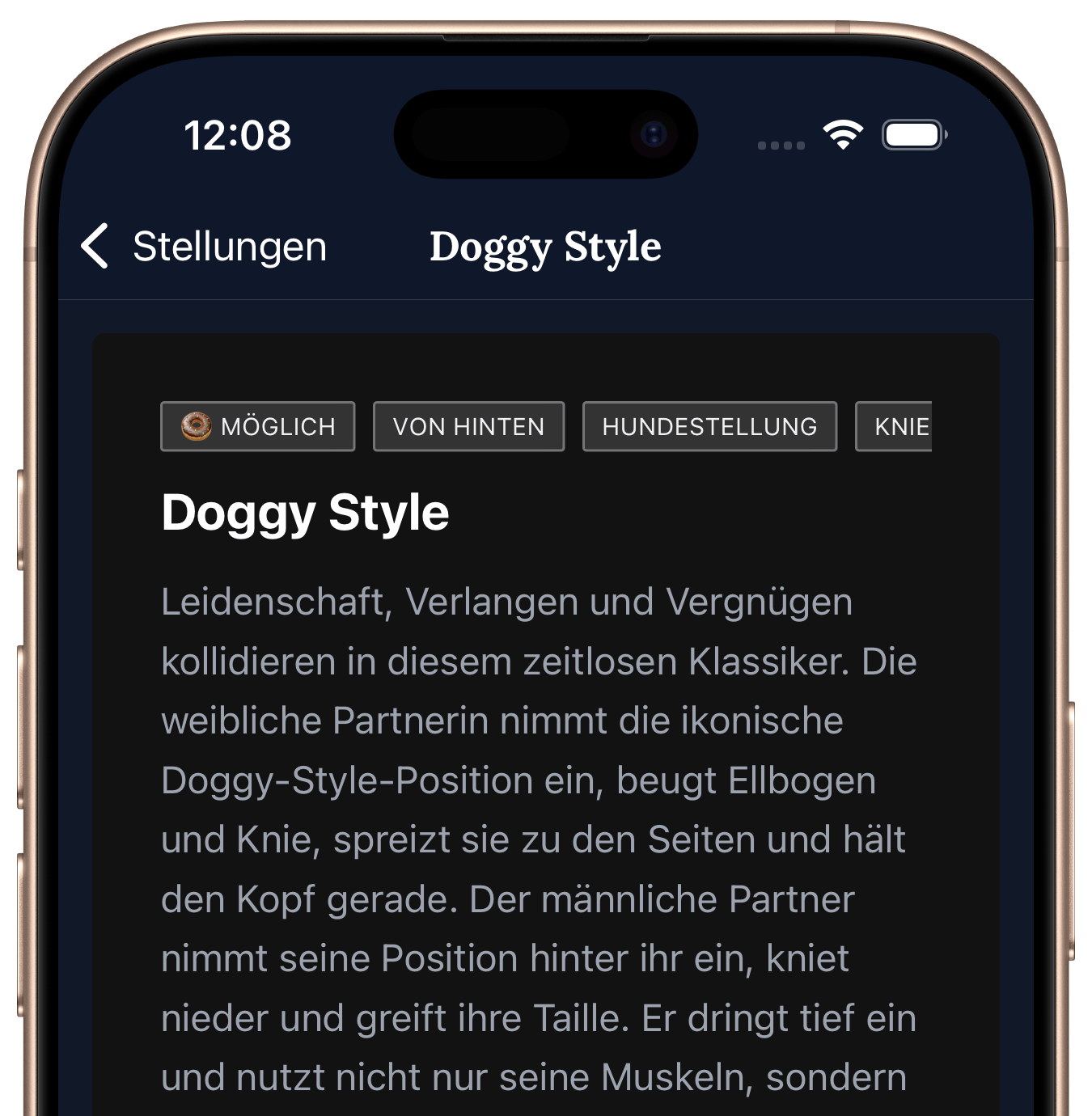 500+ verrückte Stellungen