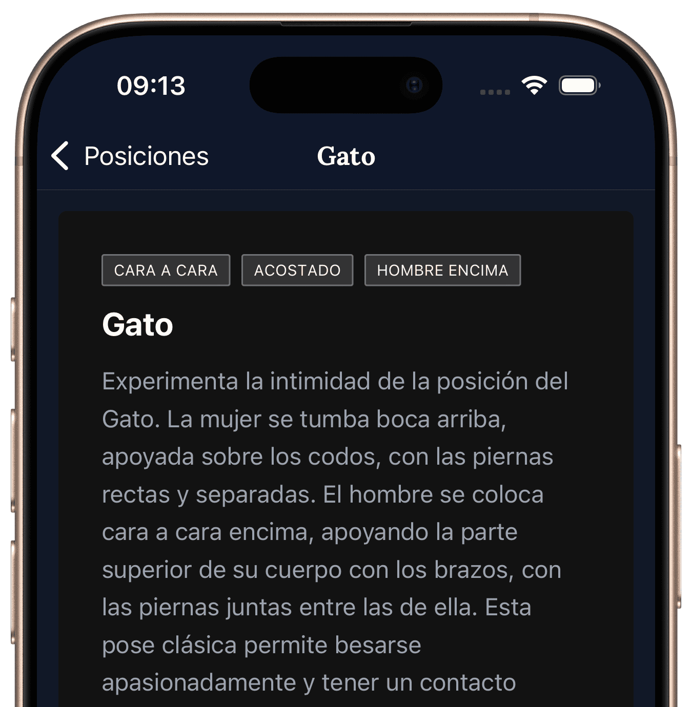+500 Posiciones Atrevidas